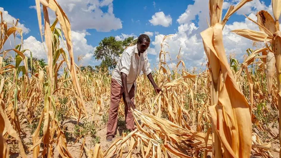 South Africa Braces for Unprecedented El Nino Threat